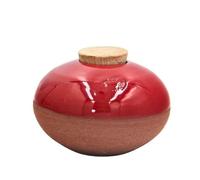 Olla Galet Rouge - Accessoire d’Irrigation Naturel en Terre Cuite - 15 cl - Arrosage Autonome 2 à 5 Jours - Économie d’Eau - pour Plantes en Pot - Fabriqué en France