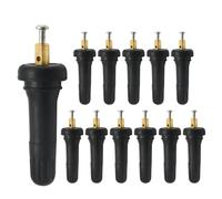 Ollanoos Kit de réparation TPMS F2GT-1A180-CB de 12 pièces pour Ford C-Max 2012-2016 - Remplacement pour Ford Edge 2011-2016 - Remplace EV6T-1A180-CB