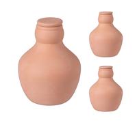 Ollas Cônes Pots d'arrosage Auto-arrosage Céramique 500 ml lot de 3