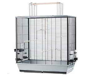Ollesch Grande cage à oiseaux Pour canaris et petite et grande perruches Avec perchoir extérieur et accessoires