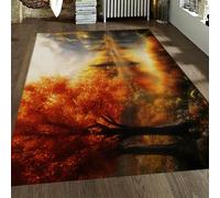 OLLIAR Home Automne Paysage Naturel Lavable Tapis rêve Montagne lac oranger Automne Tapis antidérapant à Poils Ras pour Chambre Cuisine Pique- 150x210cm