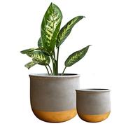 Olly & Rose Lot de 2 pots de fleurs en céramique pour intérieur et extérieur 17 cm + 12 cm