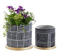 Olly & Rose Lot de 2 Pots de Fleurs Noirs avec soucoupes dorées en céramique pour intérieur et extérieur (Noir)