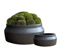 Olly & Rose Lot de 2 Pots de Fleurs Peu Profonds Ronds en céramique pour Cactus, bonsaï, Plantes Grasses