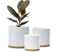 Olly & Rose Lot de 3 Pots de Fleurs en céramique avec Dessous de Verre en Bambou, Pots de Fleurs Blancs en céramique pour l'extérieur, Grand, Moyen, Petit avec soucoupes (Blanc)