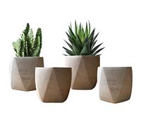 Olly & Rose Lot de 4 petits pots de fleurs d'intérieur géométriques pour cactus, plantes grasses, pots de fleurs Gris
