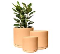 Olly & Rose Rome Lot de 3 Pots de Fleurs Ronds en Terre Cuite avec soucoupes pour intérieur et extérieur