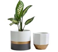 Olly & Rose Salih Lot de 2 pots de fleurs en céramique à rayures blanches grises et dorées pour intérieur et extérieur