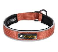 OllyDog Martingale Collier réfléchissant Confortable pour Courses de Nuit, rembourré en néoprène Doux, Extra Confortable pour Chiens Actifs (Taille L, Grain de Bois Argile)