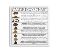 OLQEAAUF Dog Poop Chart Poster Canine Stool Health Guide for Pet Owners to Identify Digestive Issues Veterinary Clinic Home Wall-Art Decor(Unframed,16X24inch(40X60cm))