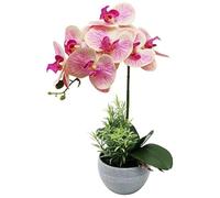 Olrla Rose Orchidée Artificielle Fleur en Pot, Fausse Orchidée Phalaenopsis pour Table Bureau Maison Fête de Mariage Jardin Décor (Rose 1)