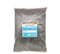 Oltresole - Graines de chia biologiques 3 kg - Graines brutes, source de protéines, naturellement sans gluten, idéales pour les salades ou les produits enrichis cuits au four, conditionnement pratique