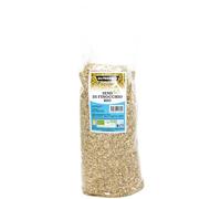 Oltresole, Graines de Fenouil Bio 1 Kg, Graines entières bio, idéales pour les tisanes et les recettes digestives, parfaites pour la boulangerie, idéal pour la famille