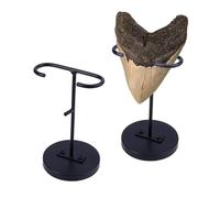 OLYCRAFT 2 Ensembles Support de Présentation en Métal Noir en Forme Dent de Mégalodon Support pour Dent avec Socle Amovible Support d'Exposition Métal pour Gemmes Coraux Géodes Rochers Cristaux