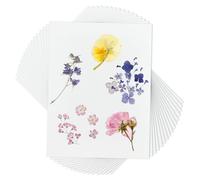 OLYCRAFT 50 Pack papier buvard de presse de fleurs 20x15cm papier de presse d’herbier blanc papier buvard réutilisable feuilles pour préservation projets d’art de bricolage -0.4mm d’épaisseur