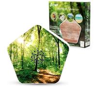 Olymp Sounds of Nature Box | Sons naturels pour la détente et la tranquillité | Barre de son avec chant d'oiseaux, murmure de ruisseau, prairies de montagne, bruit de la mer | Boîte à musique avec