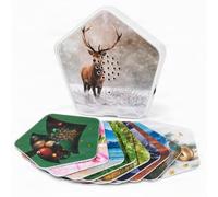 OLYMP Sounds of Nature Box Xmas Edition - Boîte de détente avec détecteur de mouvement et 5 sons avec clochettes - Boîte sonore pour salle de bain, bureau et yoga - Avec 12 motifs interchangeables