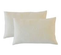 - Lot de 2 oreillers 30x50 cm ALOE VERA - Mémoire de forme