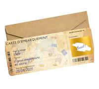OLYMPE STORE Carte à gratter Voyage Surprise - Carte embarquement personnalisable à offrir - Billet avion annonce - Cadeau Anniversaire EVJF (Vintage style)