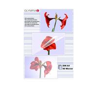 Olympia 1x100 Din A4 80 Micron Pochette Plastique 100 Pièces