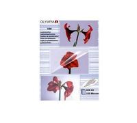 Olympia 1x100 Din A5 125 Micron Pochette Plastique 100 Pièces