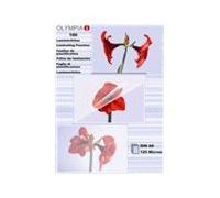 Olympia 1x100 Din A6 125 Micron Pochette Plastique 100 Pièces
