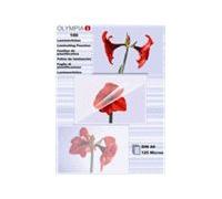 Olympia 1x100 Din A6 125 Micron Pochette Plastique 100 Pièces