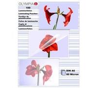 Olympia 1x100 DIN A6 80 micron pochette plastique 100 pièce(s)