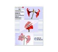 Olympia 1x100 Din A6 80 Micron Pochette Plastique 100 Pièces