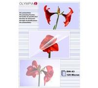 Olympia 1x50 din a3 125 micron (9175) G