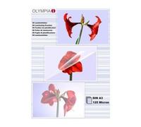 Olympia 1x50 Din A3 125 Micron Pochette Plastique 50 Pièces