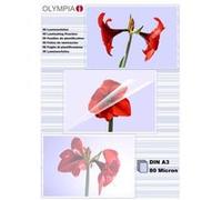 Olympia Feuilles de plastification DIN A3 80 microns 50 pièces
