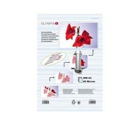 Olympia 9182 Pochette Plastique 25 Pièces