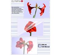 OLYMPIA - A4 (210 x 297 mm) 100 pcs. ruban laminé