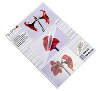 Olympia Feuille de plastification DIN A3 80 micron 50 pc(s)