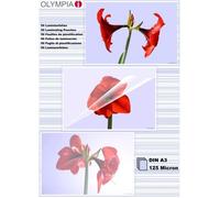 Pochettes de plastification à chaud, DIN A3, 125 microns, 50 pochettes tansparentes