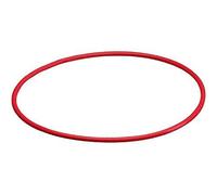 Olympus Accessoire pour appareil photo POL-E201 Joints silicone poucesO ring pouces N2137200