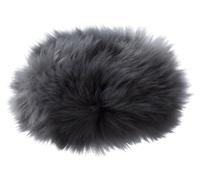 Olympus WJ-4 Bonnette anti-vent pour Dictaphone LS-100