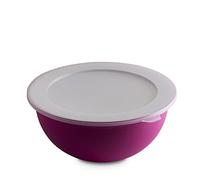 Omada Design grand bol de cuisine avec couvercle de 6,5 l, antibactérien, léger, incassable, lavable au lave-vaisselle, ligne Sanaliving