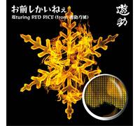 Omae Shika Inee YU Turing Red [Import Allemand]