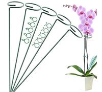 OMATSBEH Lot de 5 tuteurs de plantes de 40,6 cm, tuteurs de jardin à tige unique Amaryllis avec 10 pinces pour tomates, orchidées, lys pivoines, roses - Tige de 40 cm de long, (96648)