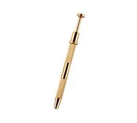 Omber Nails Brosse à ongles Éponge à ongles avec stylo de préhension Outils de manucure Outils d'art Bloomings Ongles Gradients Ongles