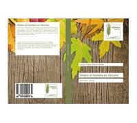Ombre et lumière en Vercors - Claude Ferradou - Muse Editions - broché - Roman