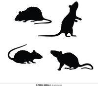 Ombres animales Rats Décoration Halloween Décoration murale Ambiance effrayante Hantise Silhouettes impressionnantes Horreur Effrayant Conception créative, couleur : noir