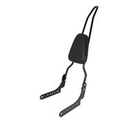 OMDHATU Dossier De Moto Sissy Bar Porte-Bagages pour Harley pour Nightster 975 RH975 pour RH 975 2023 2022 Accessoires Moto