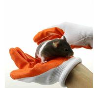 OMEM Paire de gants de protection pour éviter de mordre les mains par les hamsters
