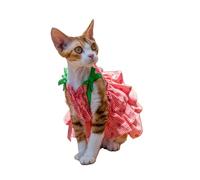 OMEM Robe florale rose fraise pour chat Sphynx Devon Rex, ourlet à volants superposés avec bretelles à nœud, tenue d'été en coton respirant pour chat sans poils, S à XXXL (XXL, rouge)