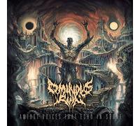 Ominous Ruin – Amidst Voices That Echo In Stone – Vinyle