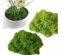 OMJMYY Mousse Artificielle Décorative 100 g D'Islande Végétale Naturelle pour Maison, Jardin, Plantes en Pot (Vert Foncé, Vert Clair)