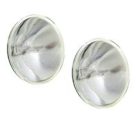 Omnilux Lot de 2 ampoules PAR 64 NSP 1000 W